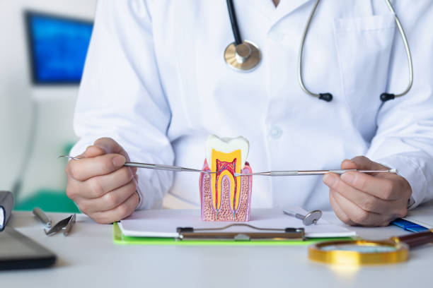 Best Emergency Tooth Extraction  in Dade City, FL